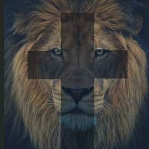 Meet your Posher, Earl